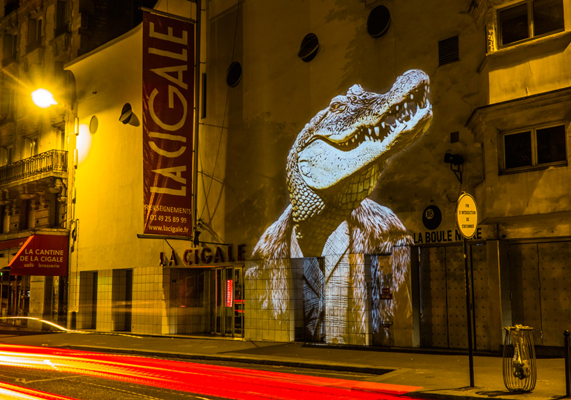 julien-nonnon-urban-safari-hipster-animals-paris-designboom-17