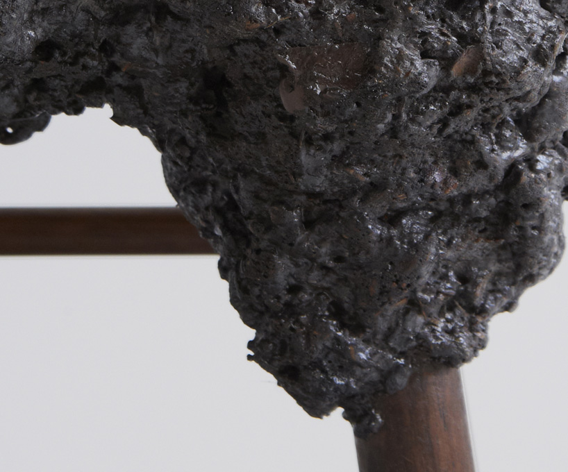 transnatural well proven collection