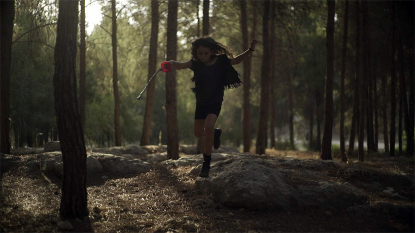nature sabre sword creator naama agassi monkey business designboom