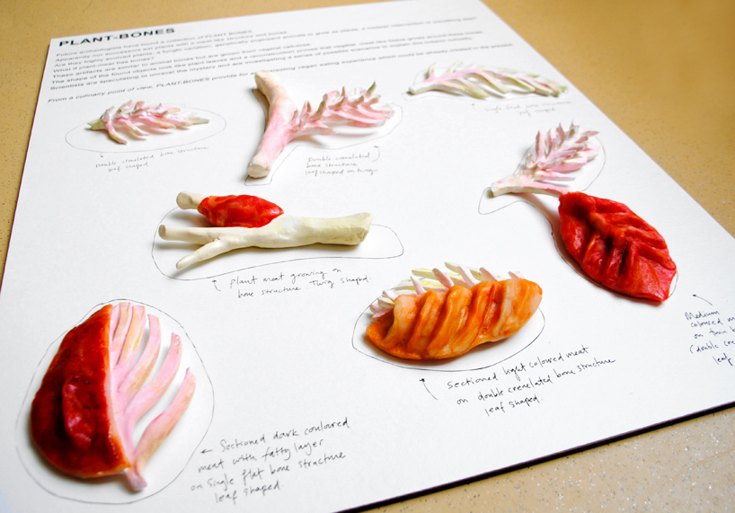 plant-bones-marije-vogelzang-designboom-08