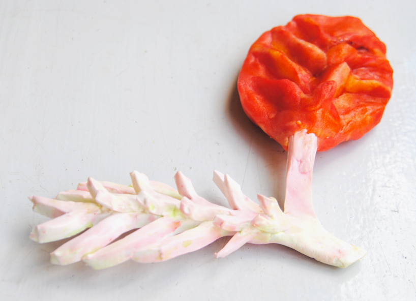 plant-bones-marije-vogelzang-designboom-09