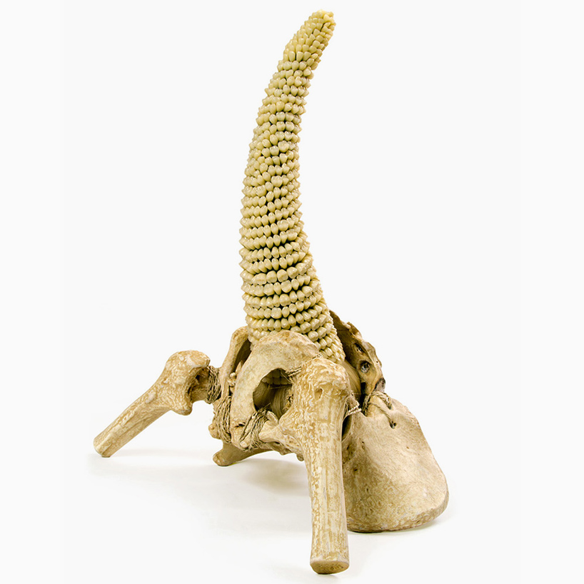 fantich-young-darwinian-voodoo-apex-predator-designboom-09