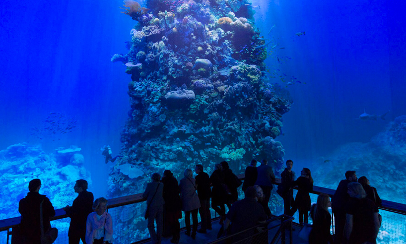 great-barrier-reef-panometer-leipzig-designboom-02