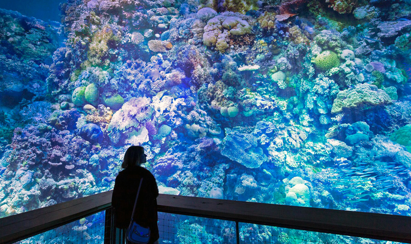 great-barrier-reef-panometer-leipzig-designboom-03
