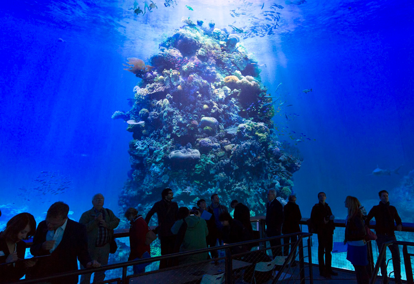 great-barrier-reef-panometer-leipzig-designboom-09