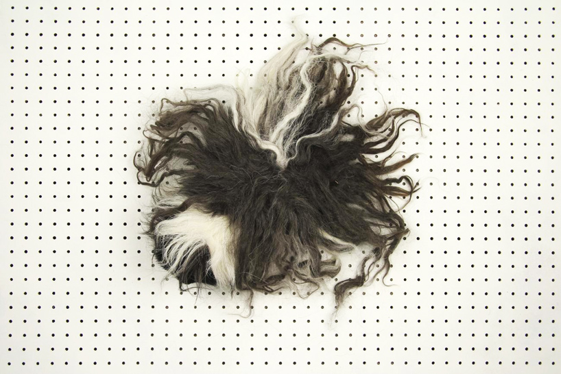isabel-and-helen-pig-or-wig-cavy-clubs-UK-designboom-04