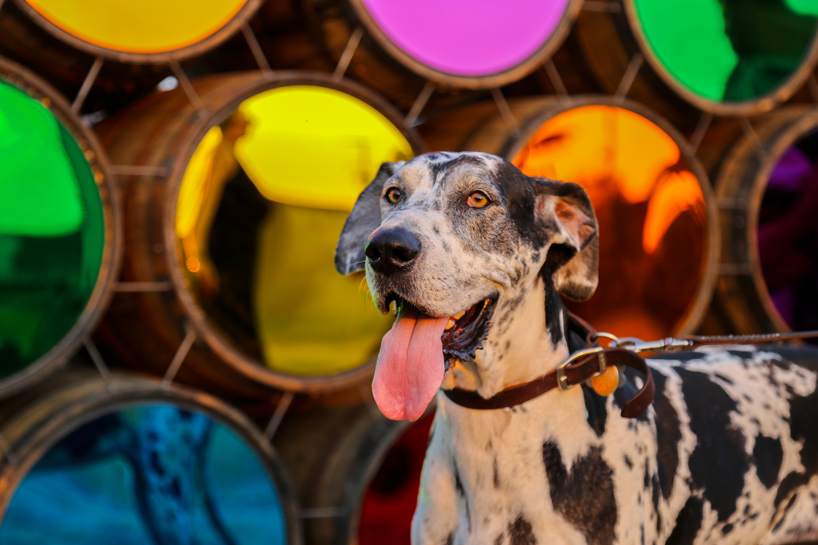 mark-reigelman-upriver-downriver-louisville-designboom-16