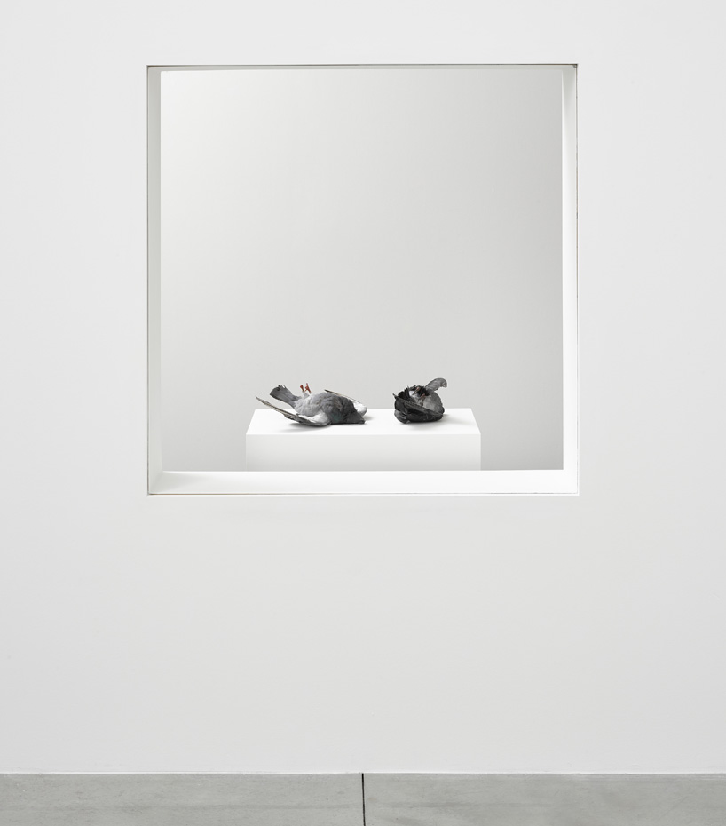 ryan-gander-fieldwork-lisson-gallery-designboom-22