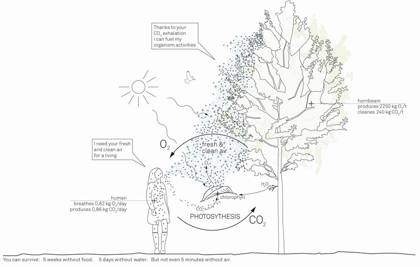 terrain breathe austria pavilion EXPO milano designboom