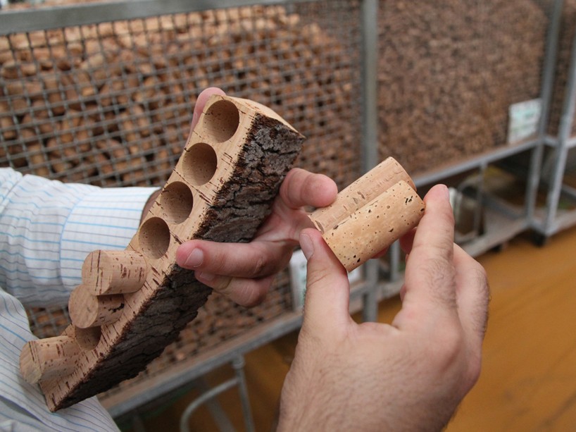 amorim cork