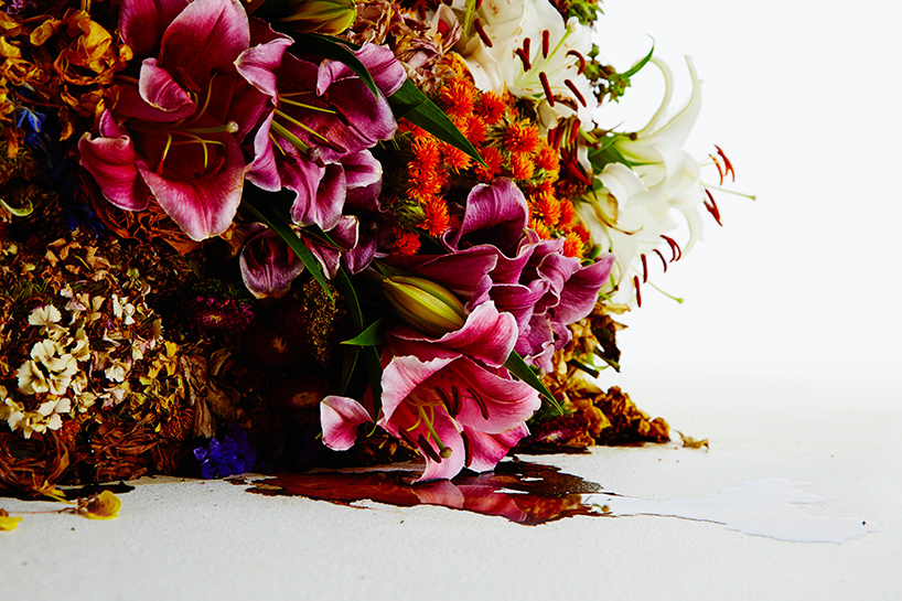 azuma makoto represents the stages of using flowers + leaves