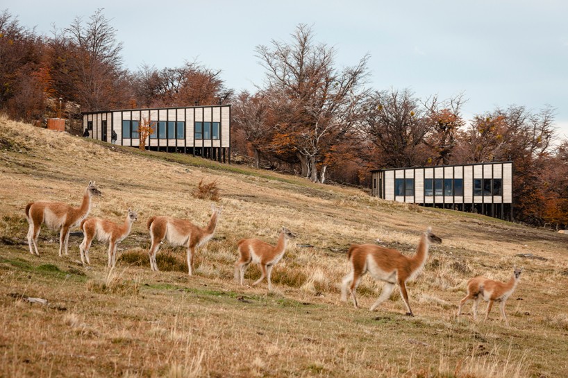 felipe-assadi-arquitectos-awasi-patagonia-chile-designboom-01