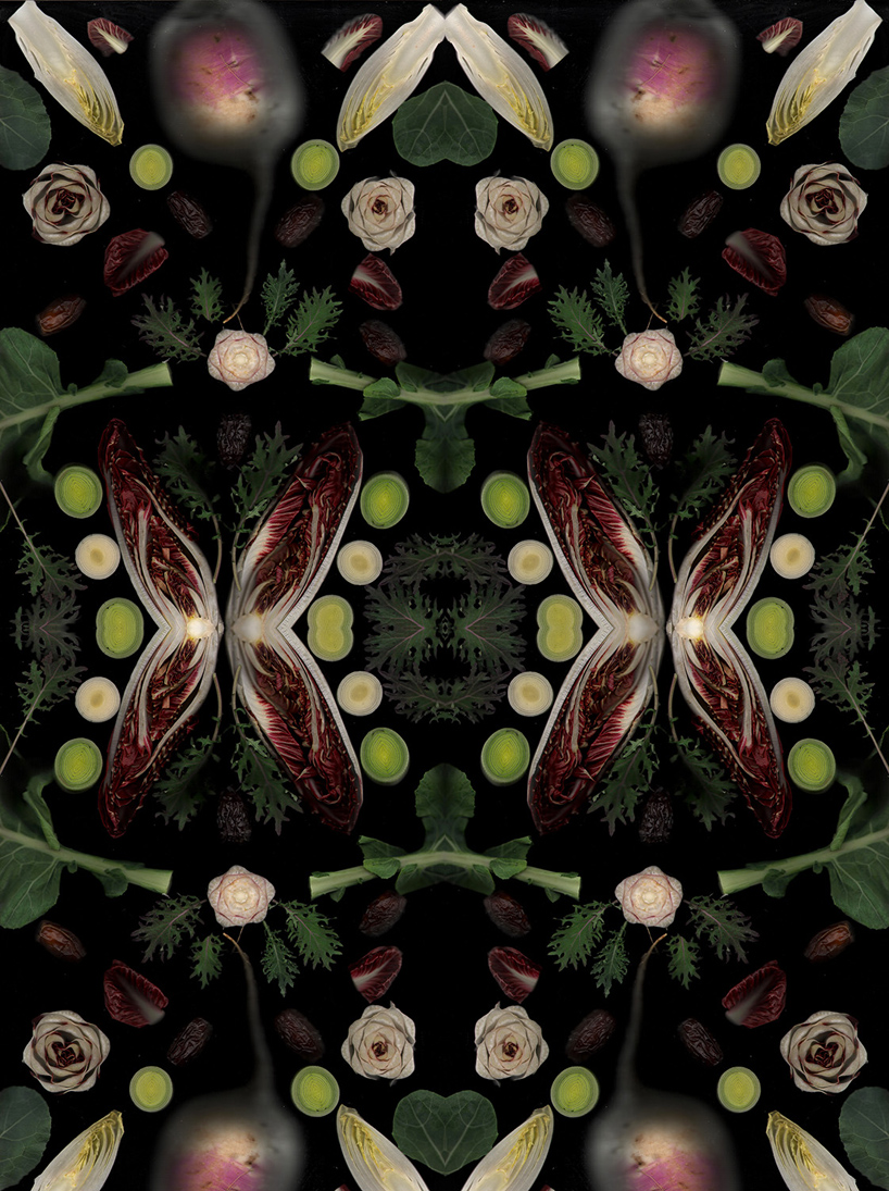 henry-hargreaves-caitlin-levin-surrealist-food-scans-designboom-01