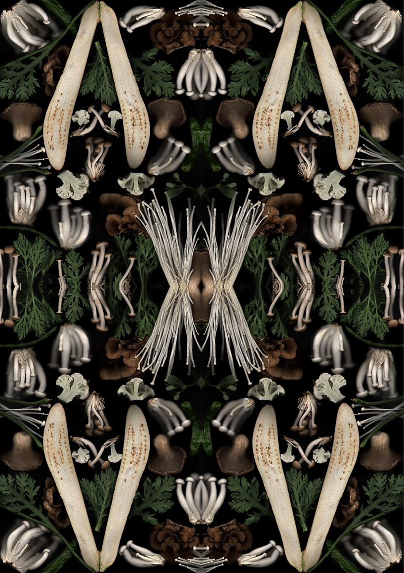 henry-hargreaves-caitlin-levin-surrealist-food-scans-designboom-06