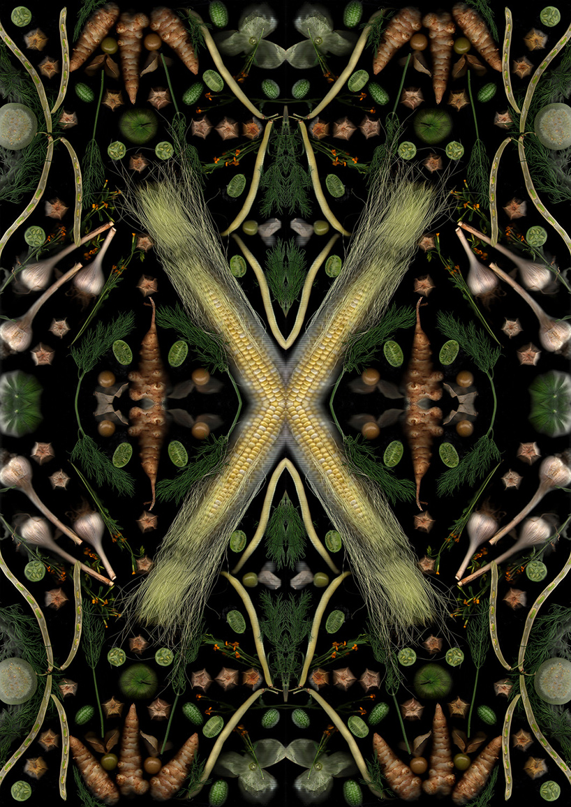 henry-hargreaves-caitlin-levin-surrealist-food-scans-designboom-07