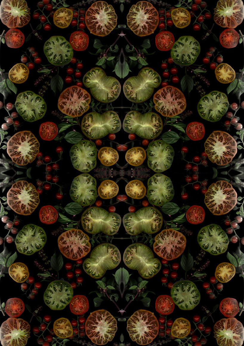 henry-hargreaves-caitlin-levin-surrealist-food-scans-designboom-08