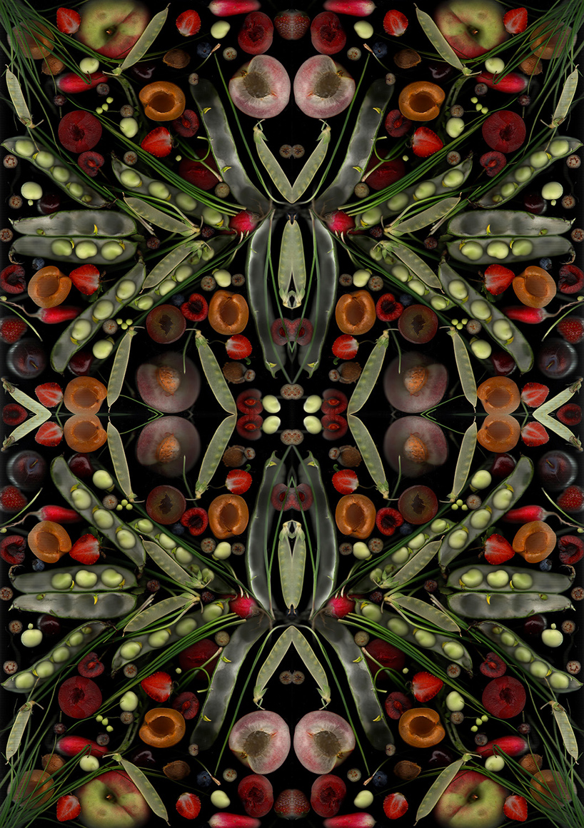 henry-hargreaves-caitlin-levin-surrealist-food-scans-designboom-10