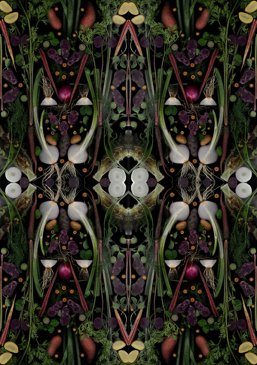 henry-hargreaves-caitlin-levin-surrealist-food-scans-designboom-12