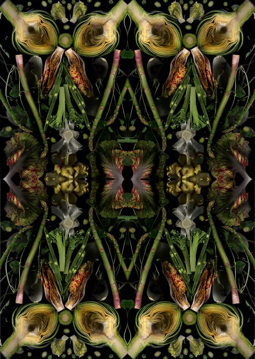 henry-hargreaves-caitlin-levin-surrealist-food-scans-designboom-13