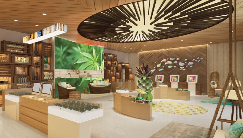 pineapple express cannabis retail stores the mcbride company designboom
