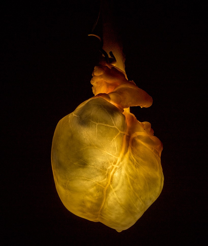 the art of deception