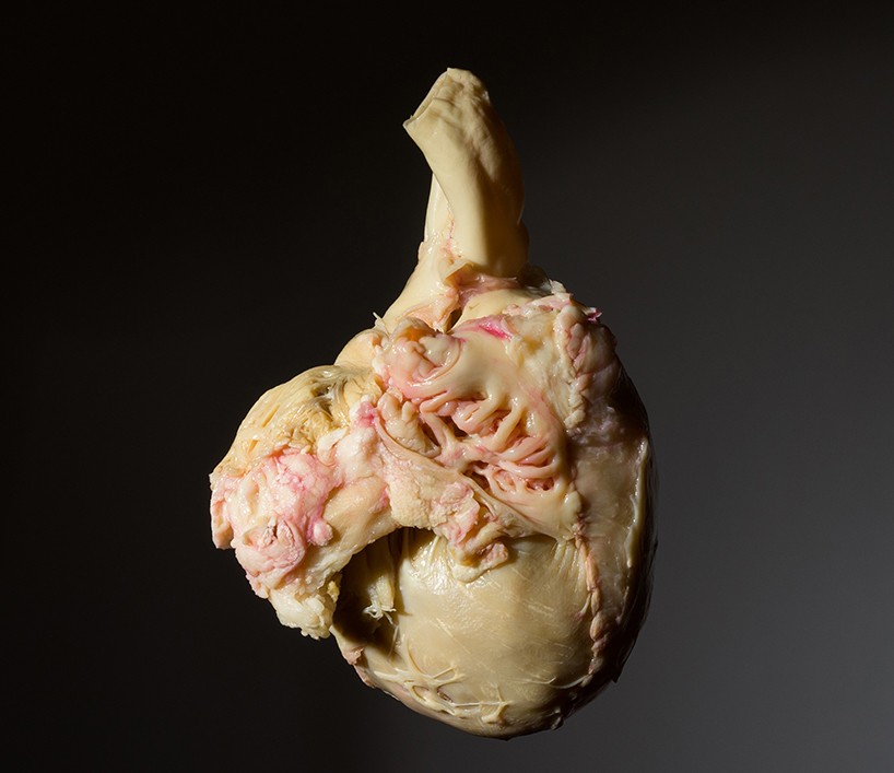 the art of deception