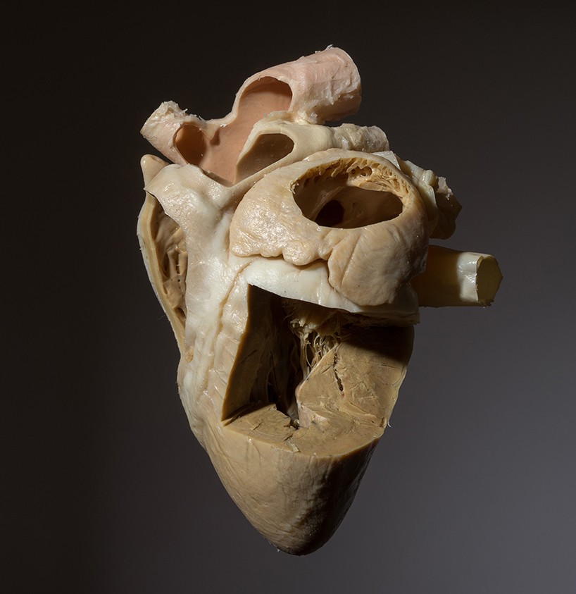 the art of deception