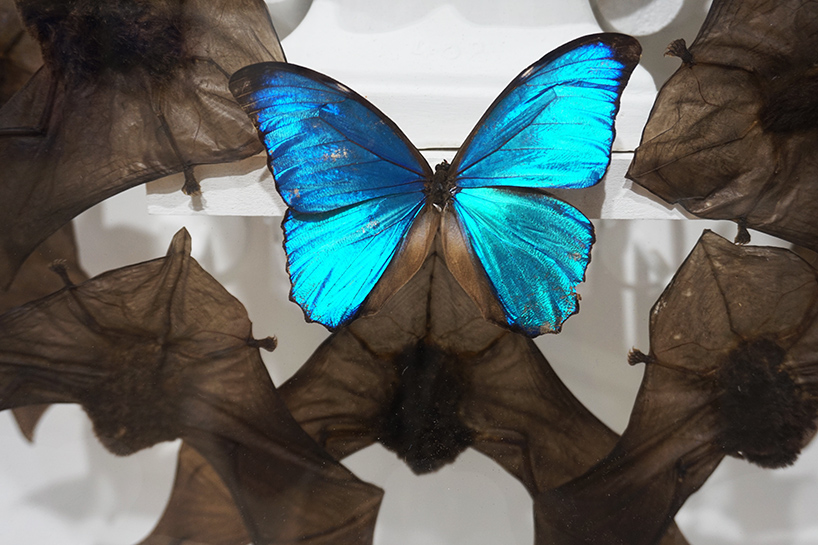 joseph-grazi-joseph-gross-gallery-scope-miami-beach-designboom-02