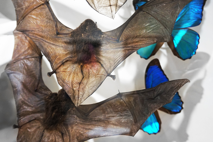 joseph-grazi-joseph-gross-gallery-scope-miami-beach-designboom-04