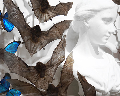 joseph grazi sculpts nightwatch with taxidermic bats and blue butterflies