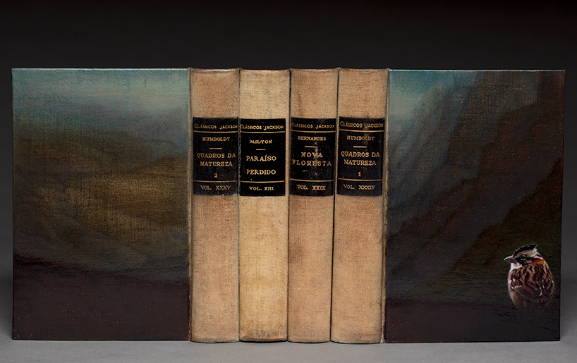 guy-laramee-onde-eles-moram-where-they-live-book-carving-art-designboom-0010