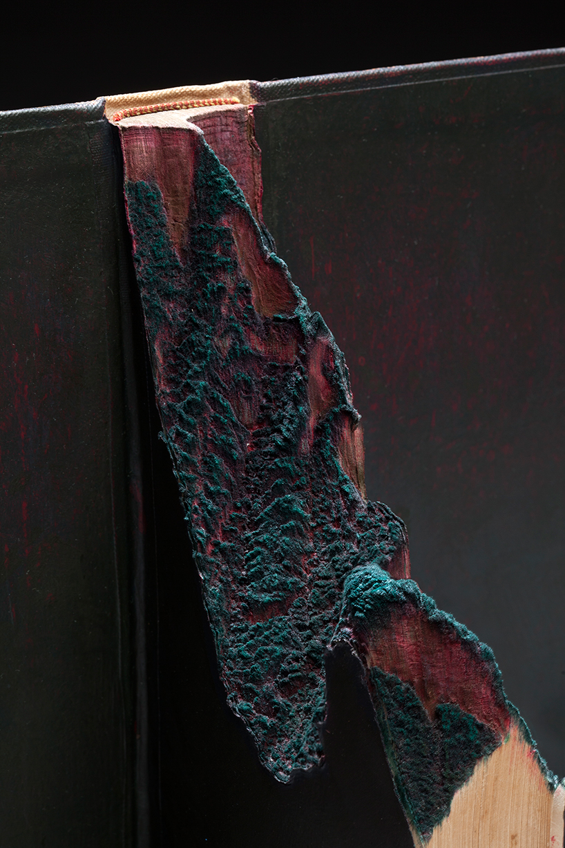 guy-laramee-onde-eles-moram-where-they-live-book-carving-art-designboom-003