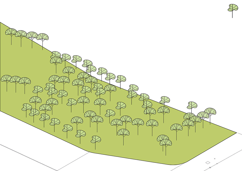 integrated-field-IF-it's-sara-cafe-nong-khae-thailand designboom