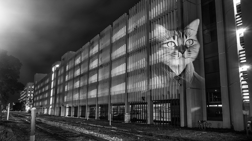 julien-nonnon-digital-street-art-safari-orlando-florida-designboom-011