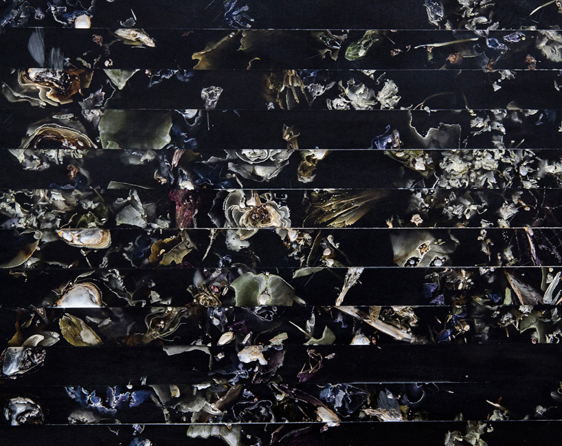 marcin rusak flora collection designboom