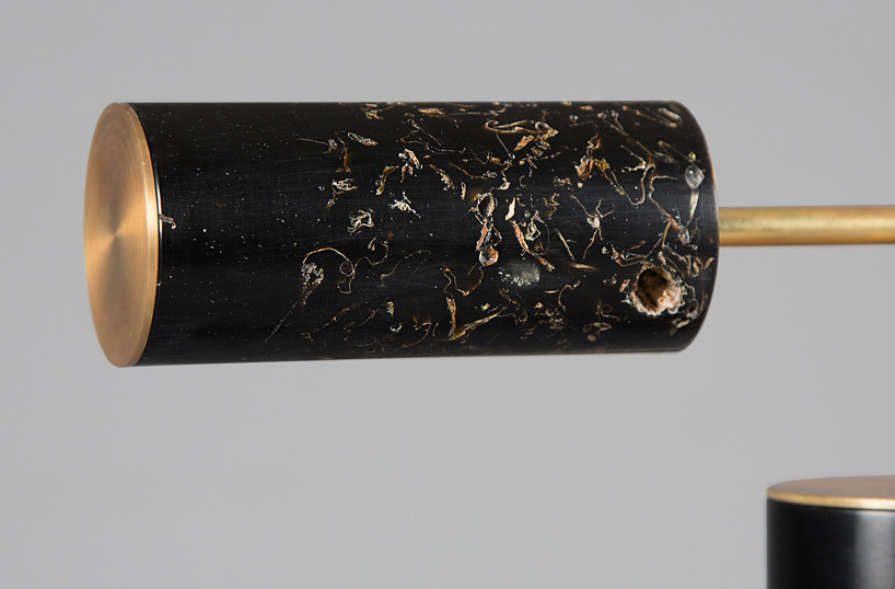 marcin rusak flora collection designboom