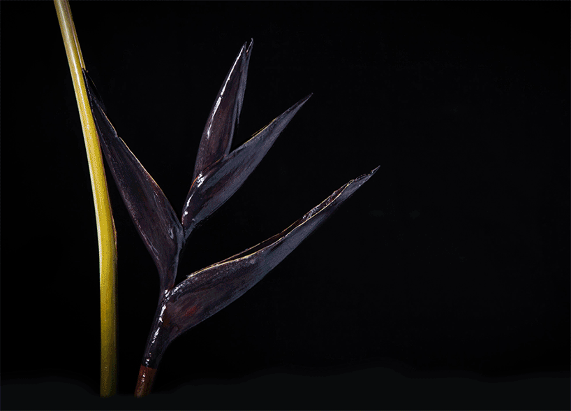 bompas-parr-london-edition-perrier-jouet-color-changing-flowers-designboom-02
