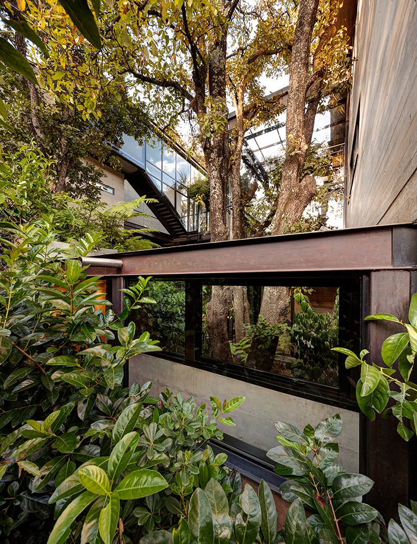 la casa en el bosque in mexico city by grupo arquitectura