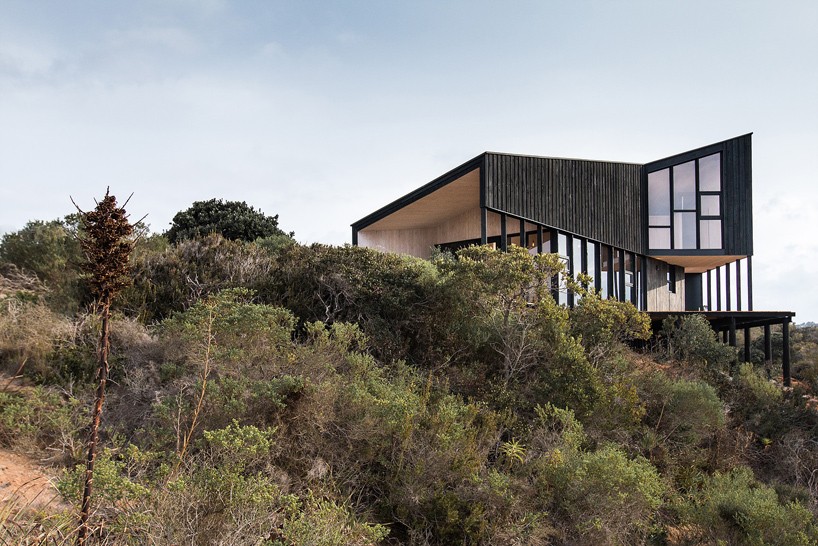 whale!-architecture-casa-encallada-chile-designboom-01