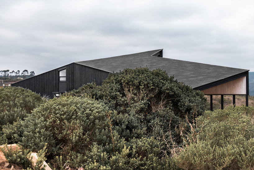 whale!-architecture-casa-encallada-chile-designboom-02