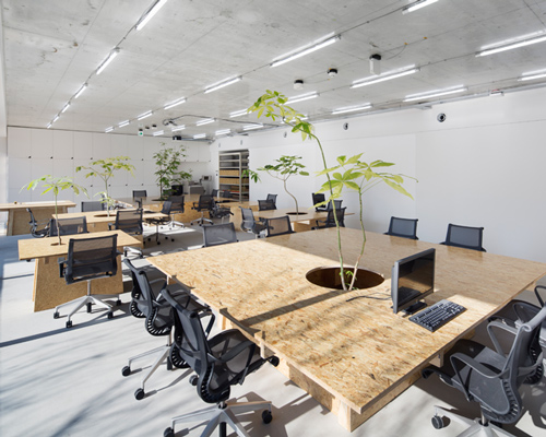 schemata architects brings plant life into tokyo office space