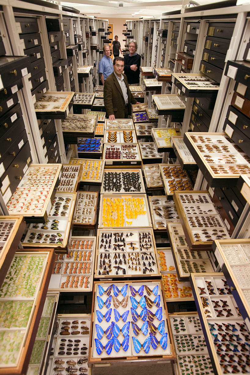 backroom-storage-at-the-smithsonian-natural-history-museum-designboom-02