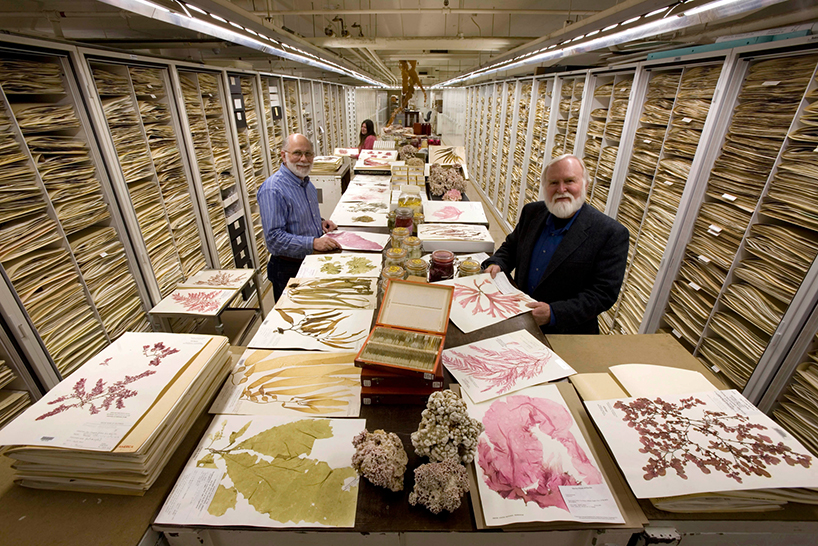 backroom-storage-at-the-smithsonian-natural-history-museum-designboom-02