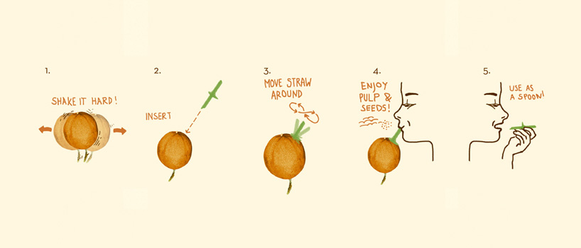 joan rojeski studio granadilla straw ocati