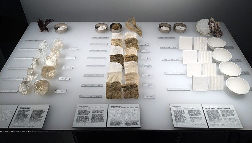 lexus-design-award-2016-winner-AMAM-designboom-15