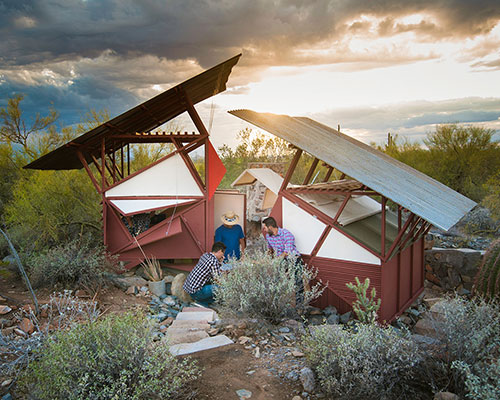 aixopluc develops a series of survival structures in the sonoran desert