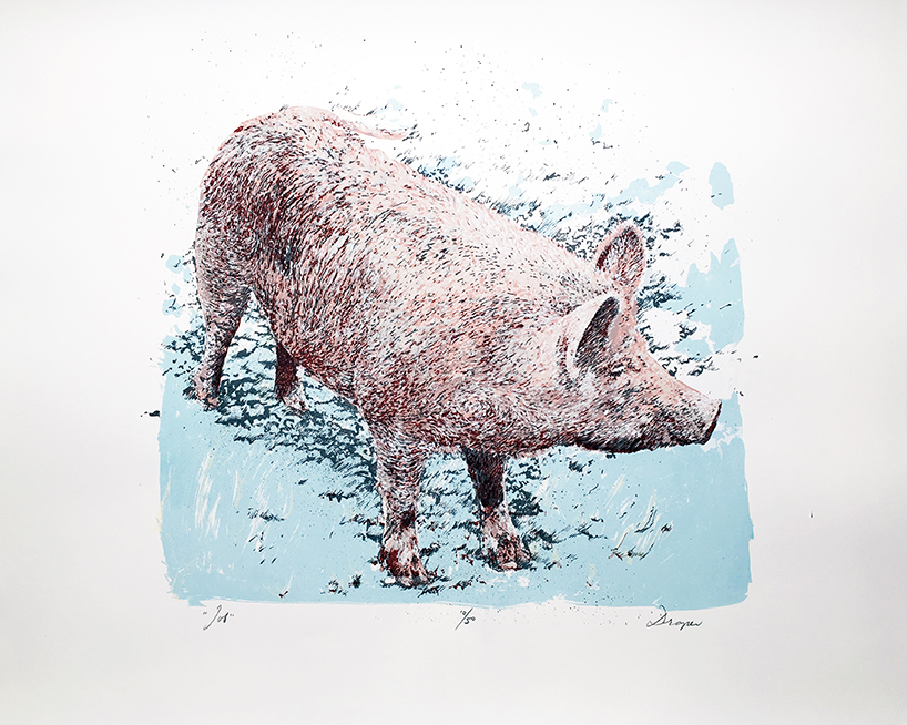 we are what we eat UN united nations