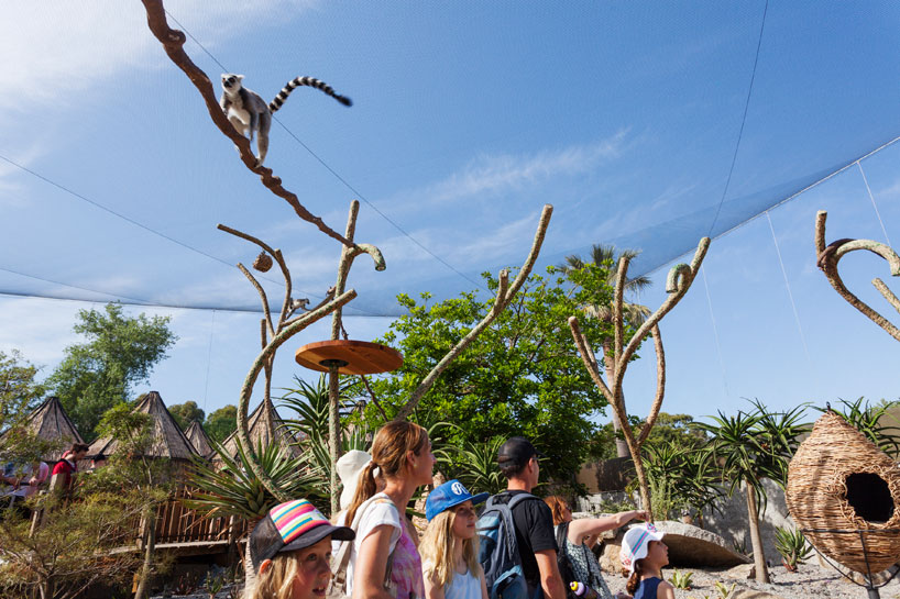 OLA-architects-lemur-exhibit-melbourne-zoo-designboom-02