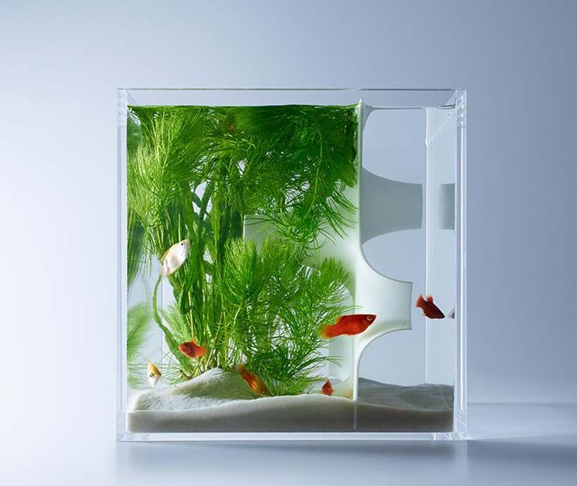 haruka-misawa-waterscape-fish-aquariums-designboom-02