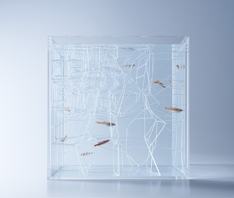 haruka-misawa-waterscape-fish-aquariums-designboom-03